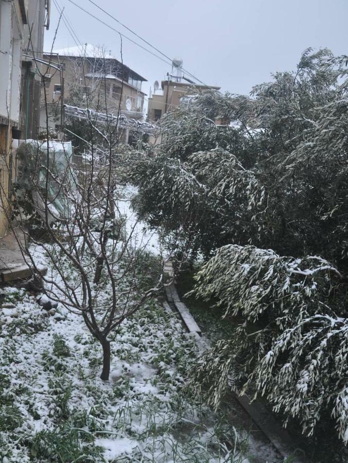 Cosy Appartement Majdal Shams Bagian luar foto
